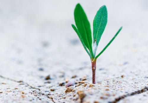 How much do iras grow per year?